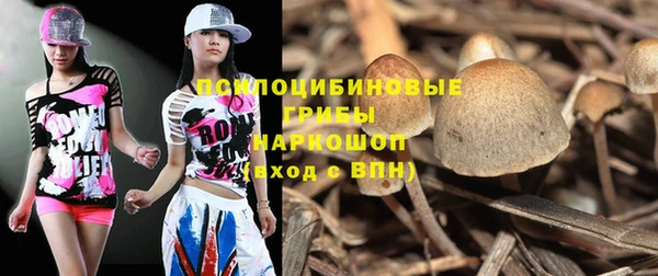 гидропоника Пролетарск