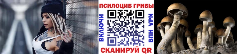 нарко площадка телеграм  Вольск  Галлюциногенные грибы Psilocybine cubensis 