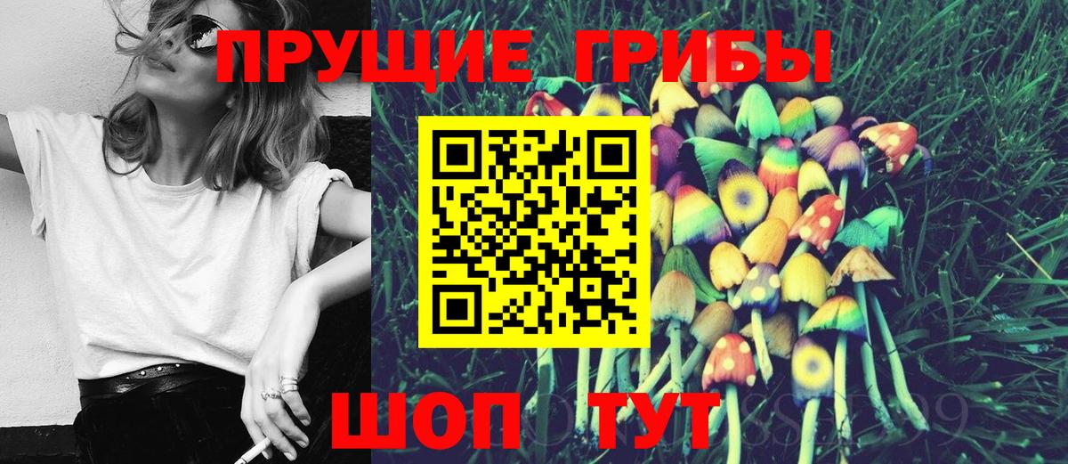 Псилоцибиновые грибы Magic Shrooms Вольск