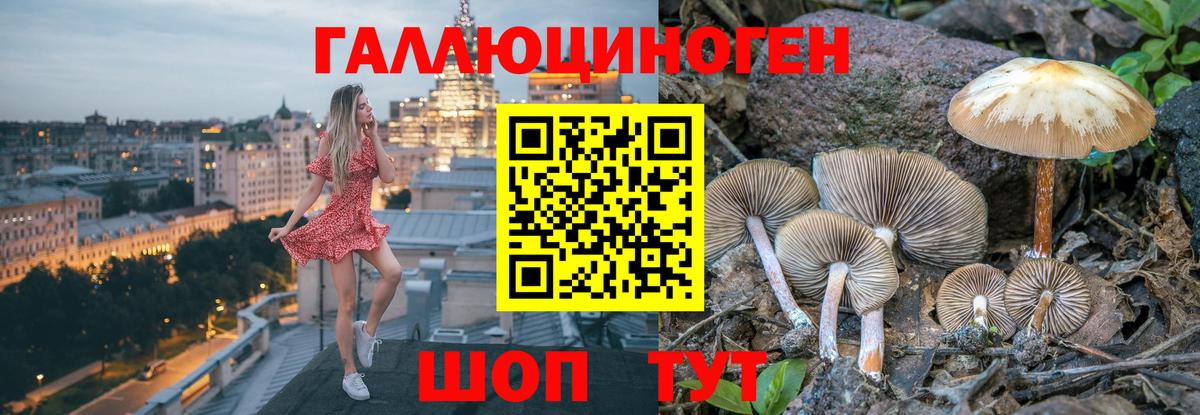 Псилоцибиновые грибы прущие грибы  Вход с VPN  Псилоцибиновые грибы MAGIC MUSHROOMS  Вольск 