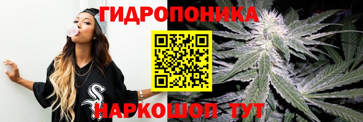 Марихуана план  Бошки марихуана White Widow  Вольск 